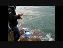 魚釣りに行ってきた　2