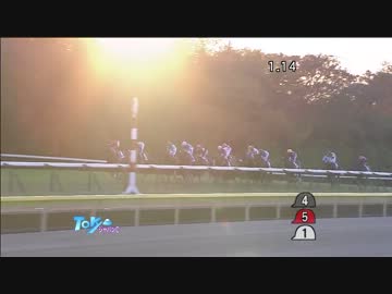 ジャパンカップ2013