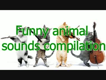 面白い声で鳴く動物たち