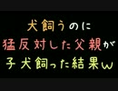 犬飼うのに猛反対した父親が子犬飼った結果ｗｗｗ【2ch】