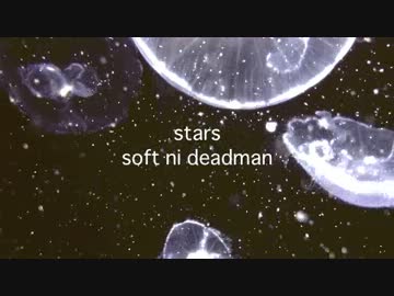 【NNI】STARS