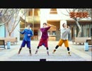 【ダンス練習用】妄想税を踊ってみた【左右反転】