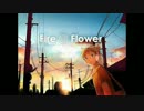 「Fire◎Flower」 歌ってみた 【iOS-イオ-】
