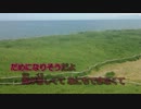 【ニコカラ】　どうして君を傷つけたのだろう　【offvocal】