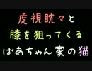 虎視眈々と膝を狙ってくるばあちゃん家の猫【2ch】