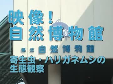 ホモと学ぶ寄生虫