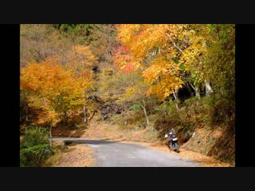 セローで奥物部紅葉ツーリング