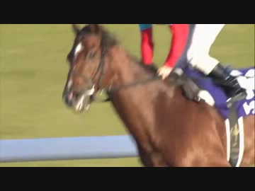 【競馬】第１４回ジャパンカップダート　出走馬