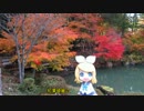 【おでかけリンちゃん】飛騨高山 前編【岐阜
