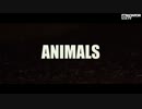 Martin Garrix - Animals (Official Video HD)