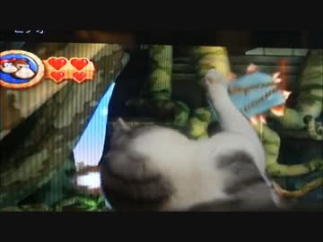 ツンギレのうちの猫の前でゲームをやるとご覧のありさま