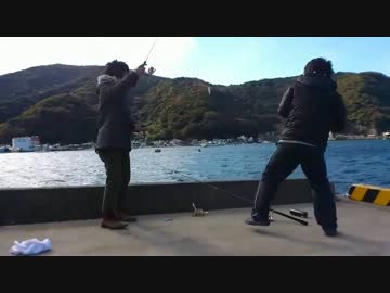 【魚釣り】お魚１００種　釣れるかな？【実況】 part 21