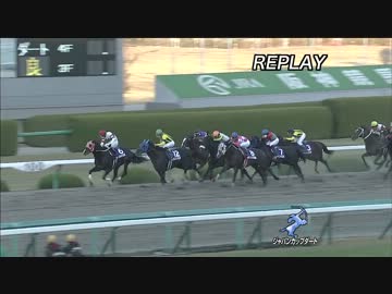 ジャパンカップダート2013