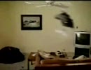 回転猫Youtubeより