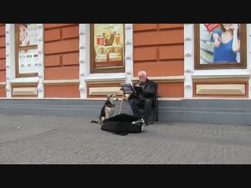 おじいちゃんの演奏に合わせて歌う犬