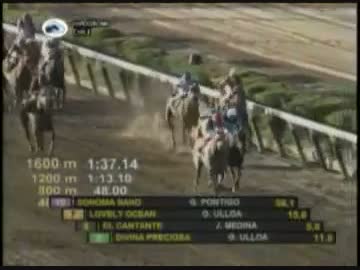 【世界の競馬場から】2013年チリセントレジャー　ラブリーオーシャン