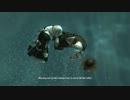 アサシンクリード４IGN攻略の真似事がしたくて　part12