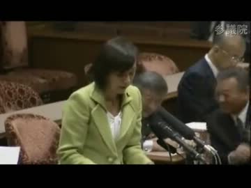 12.02 参議院国家安全保障に関する特別委員会　牧山ひろえ（民主）