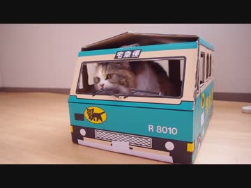 ひかえめにワイパーをかじる猫