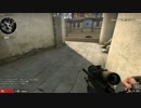 【BF4・CSGO】BFのSR当たらないからCSやる