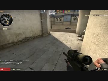 【BF4・CSGO】BFのSR当たらないからCSやる