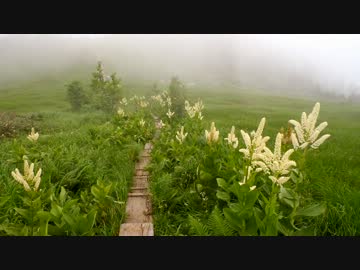 日本百名山に登ってみた92A　会津駒ヶ岳編