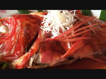 伊豆稲取のキンメと孤独のグルメ聖地巡礼【お泊りツー 2/3回 】