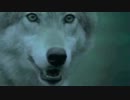 【CM】エリストフ ウォッカ 月に向かって吠えるオオカミ