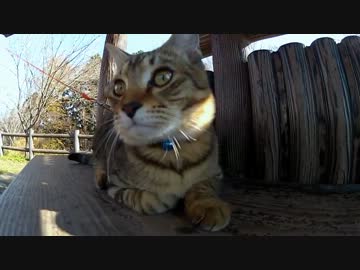 親バカですみませんf^_^;