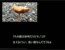 【黒バス】アホな信号機が7DAYSを実況!!!【字幕実況】Part4