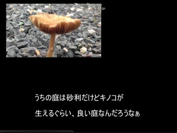 【黒バス】アホな信号機が7DAYSを実況!!!【字幕実況】Part4