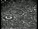 恵みの雨(alan) Yuhina Cover