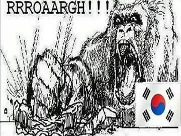 【ゆっくり朗読】 海外から見たネットでの韓国人