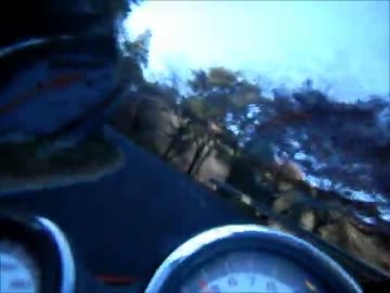 【VTR250】太平山までお散歩してきた