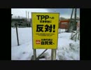 TPPと自民党