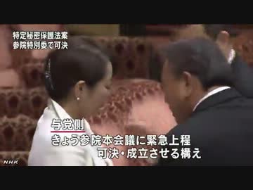 秘密保護法案　参議院の特別委員会で可決