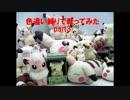 色違い縛りで戦ってみた　part3