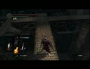 【ダークソウル】どんなゲームかさっぱり分からない【別枠part2】