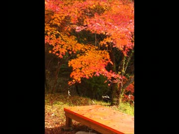 紅葉のカフェテラス
