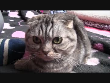 姫は何かを見つけたらしい