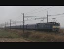 【高崎線・上越線】EF81-95+24系9両+EF64-38【越後旅情号】