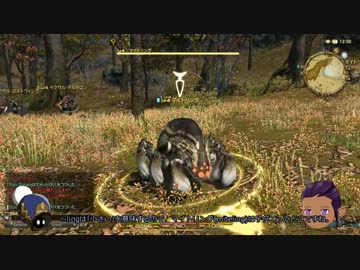 【新生FF14】エオルゼアレポート31: 黒衣森：北部森林【ゆっくり実況】