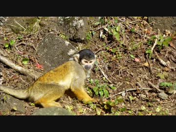 37歳から始める運転実績解除2nd「伊豆リベンジ」