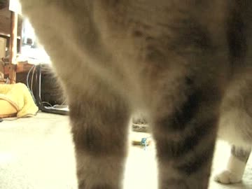 ジャンくんのお留守番を見ながら夫婦でナレーション