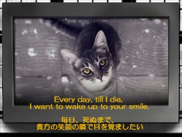 【はなまる】smile / Nancy Fish【ミュージック】