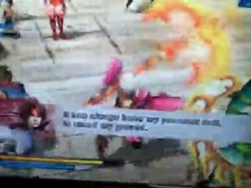 北米版戦国BASARA3　真田幸村バグ