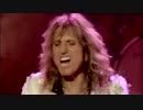 WHITESNAKE【Still Of The Night 】2006