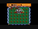 【プレイ動画】スーパーボンバーマン World4【ボンバーマン】