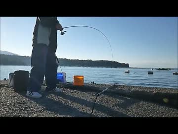 堤防でフカセ釣り！ ☆ 前編 ☆