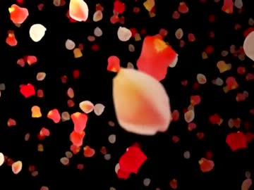 今村朔望　花びらのワルツ
